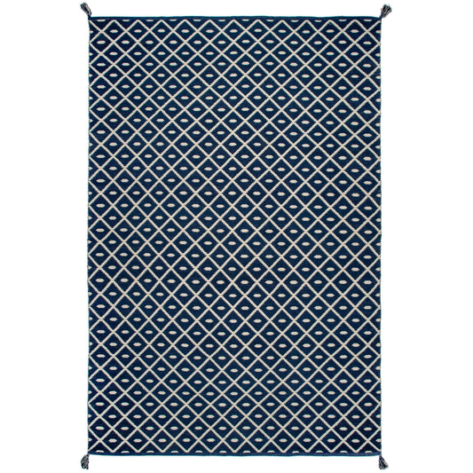 Quinn Flatweave Corner Tassel Area Rug