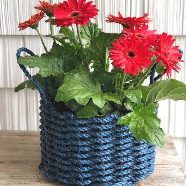 Wicked Good Lobster Rope Baskets, 12" x 8"