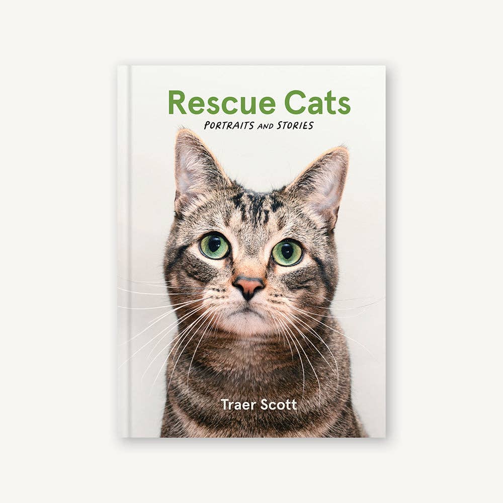 Rescue Cats