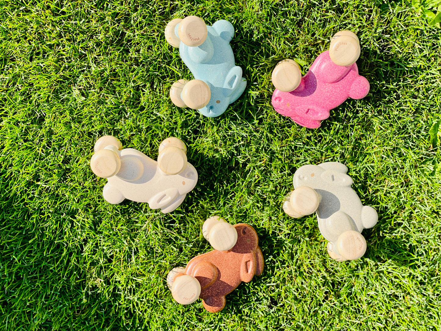 Push Along Bunny - Gray