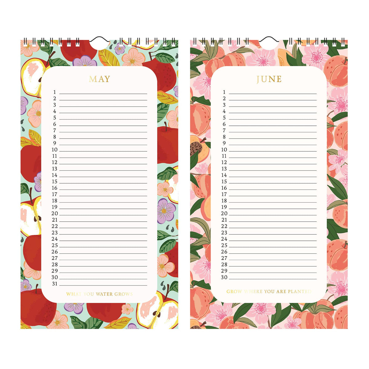 Fruitful Seasons Celebrations 12-Month Perpetual Calendar