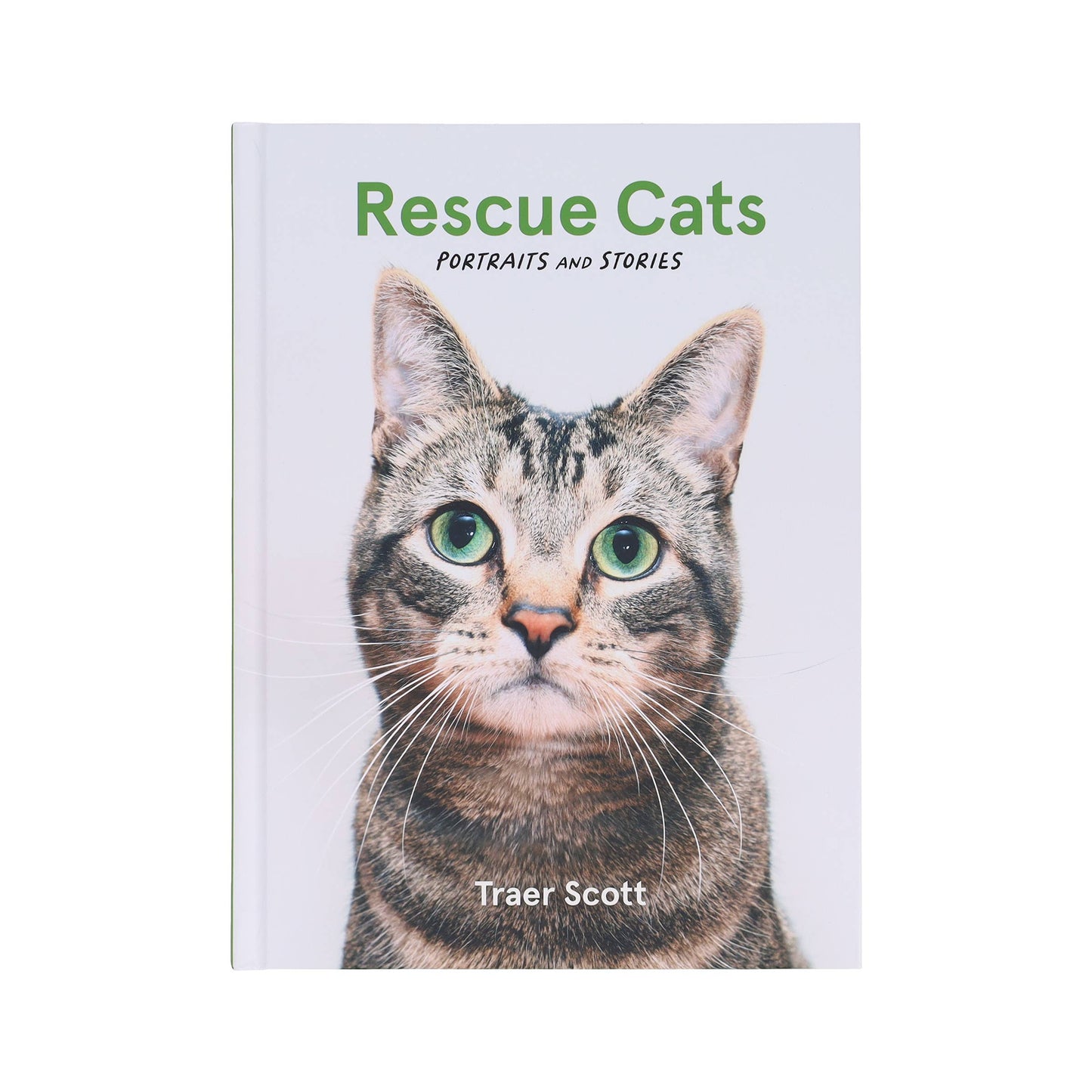 Rescue Cats