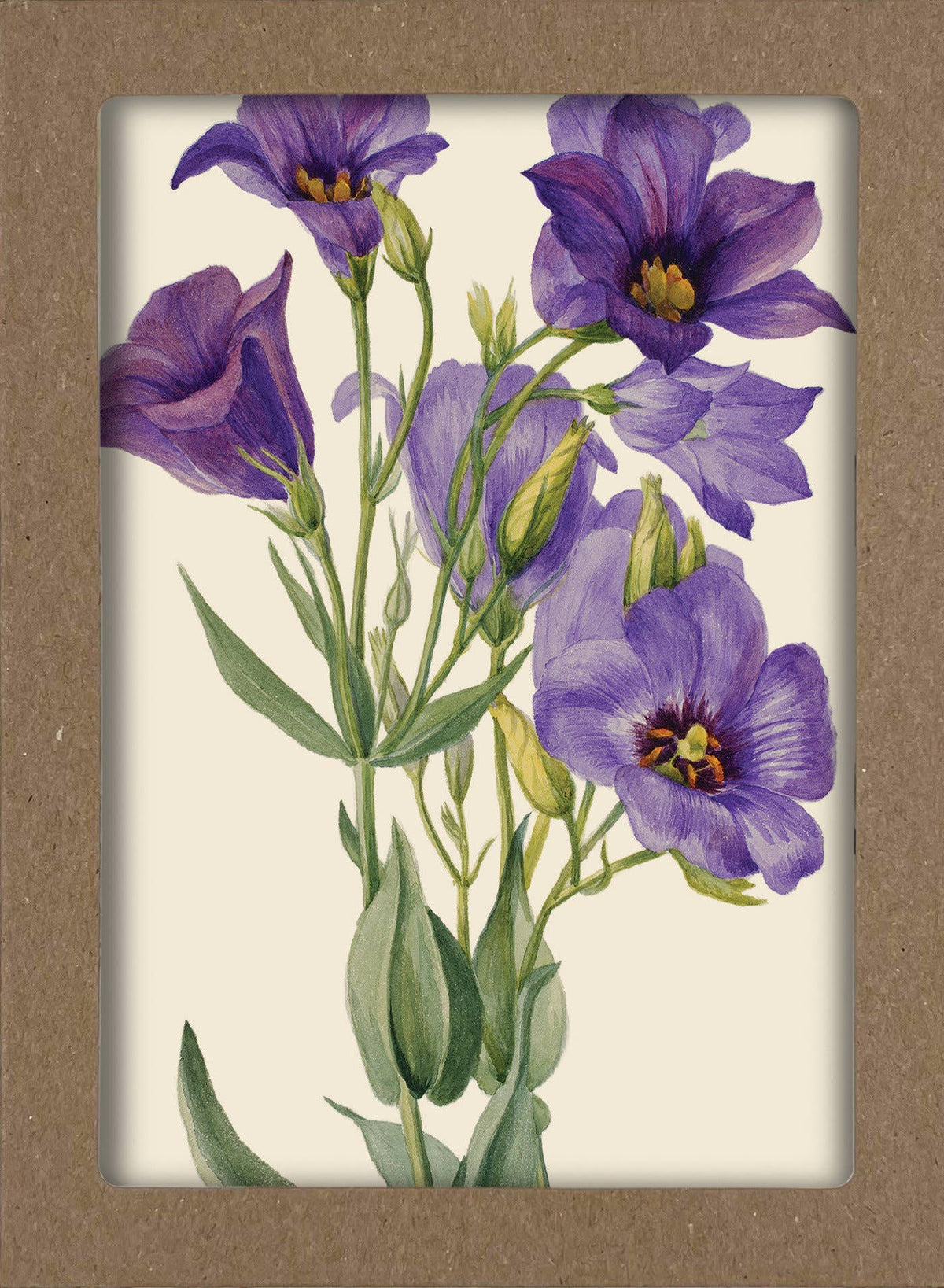 Smithsonian Wildflower Notecard Set