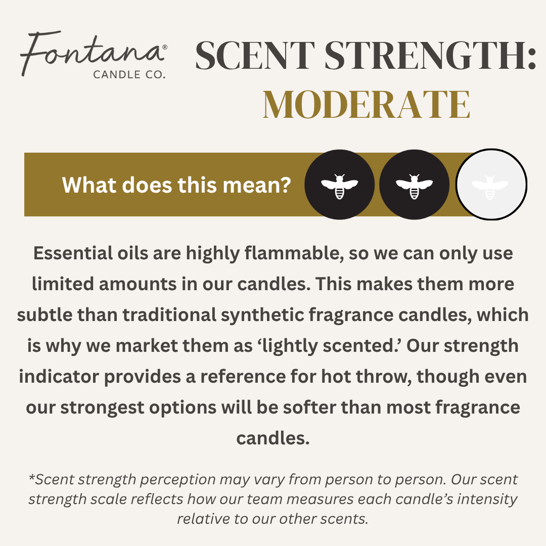Cinnamon Orange Clove Beeswax Essential Oil Noir Candle