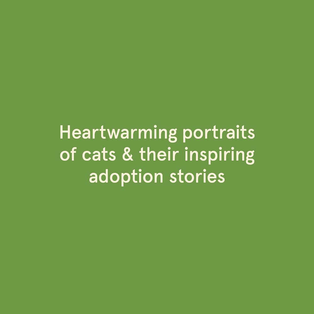 Rescue Cats