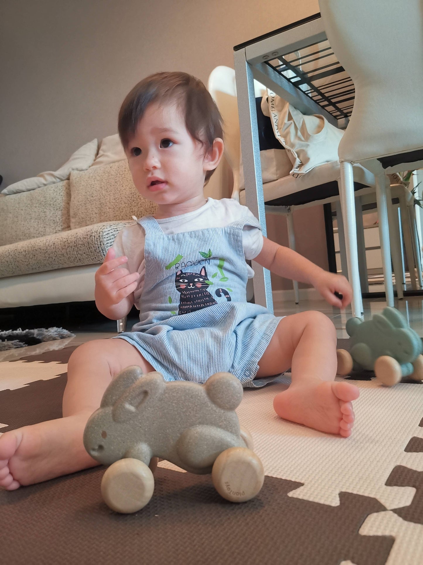 Push Along Bunny - Gray