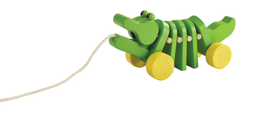 Dancing Alligator
